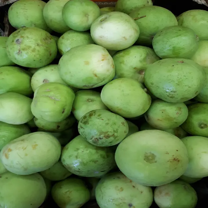 Tinda (Squash Melon / Round Melon / Apple Gourd)