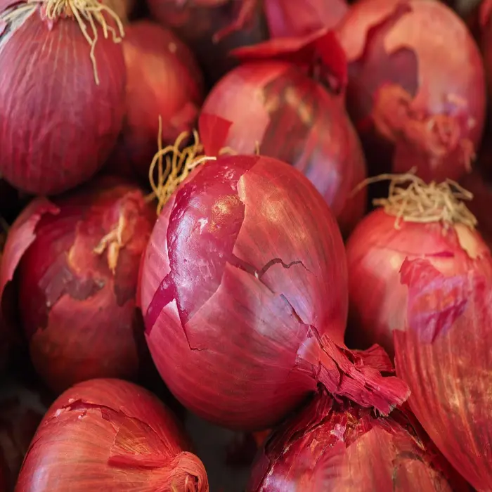 Onion (kanda)